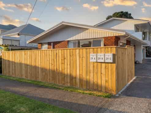 29A Hine Street, New Plymouth Central