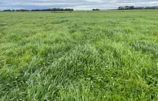  State Highway 3, Newbury