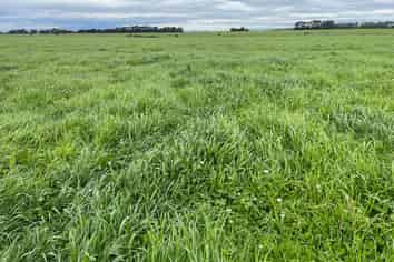  State Highway 3, Newbury