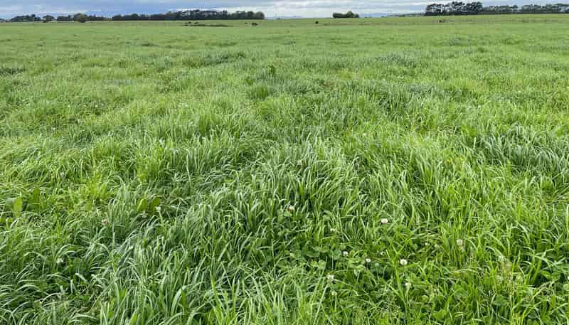  State Highway 3, Newbury