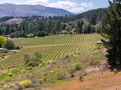 155 Dunstan Road, Alexandra