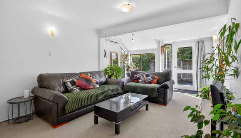 3B Pukatea Street, Eastbourne