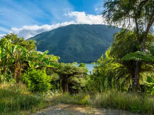 758 Queen Charlotte Drive, Anakiwa and Surrounds