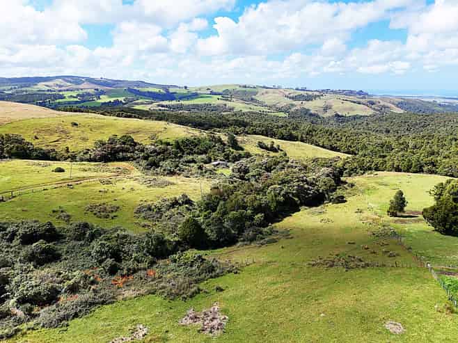 870 Marlborough Road, Aranga