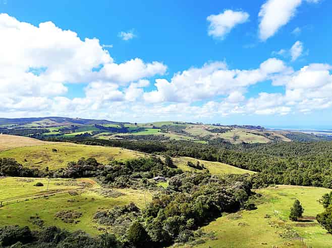 870 Marlborough Road, Aranga