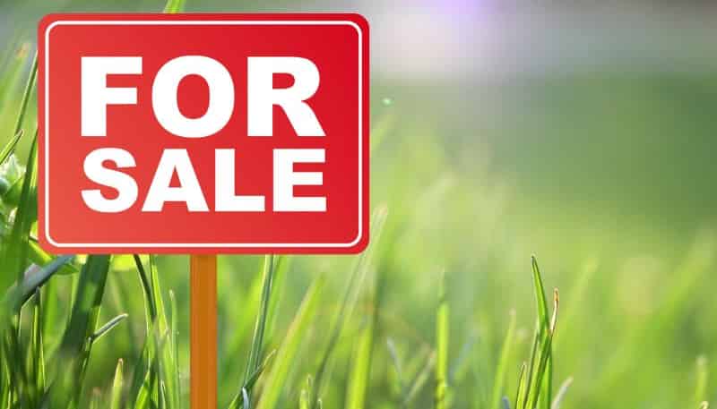 11 PIPI CRESCENT, Tuakau