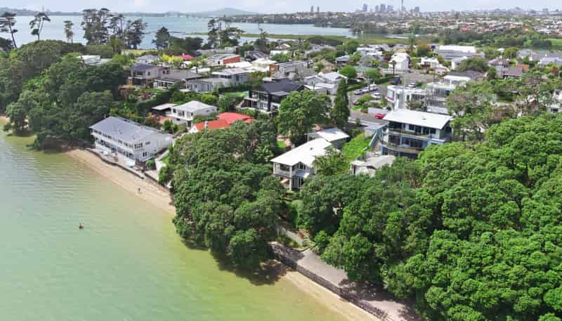 16 Joan Street, Point Chevalier