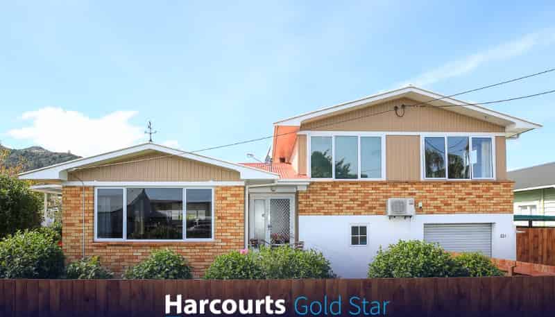 116 Mackay Street, Thames