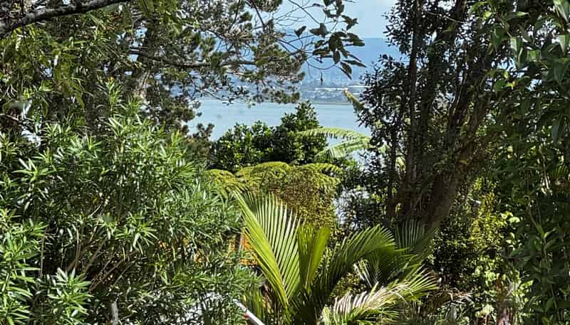 2/31 Sispara Place, Beach Haven
