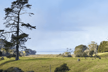 2938 Awhitu Road, Waiuku