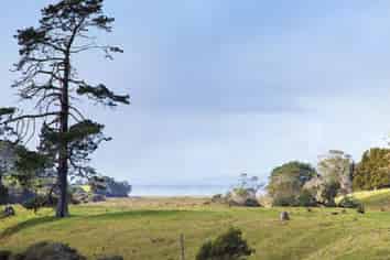 2938 Awhitu Road, Waiuku
