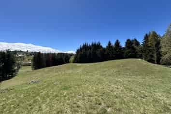 39 Fitzpatrick Road, Dalefield