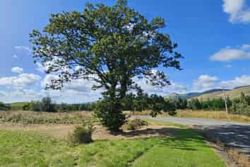 2, 4 and 6 Brown Street, Clinton