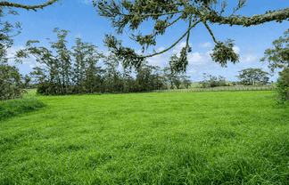 Lot 21 Waitoki Road, Waitoki