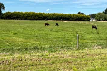 35 McKellar Road, Seaward Bush