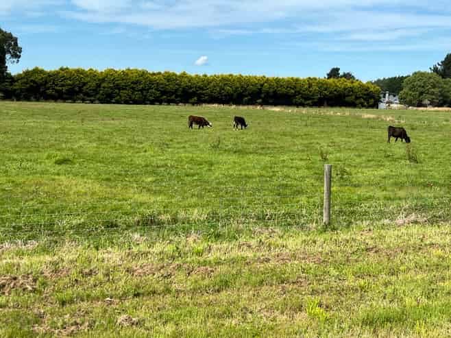 35 McKellar Road, Seaward Bush