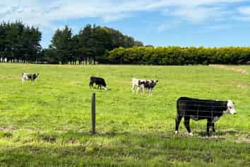 35 McKellar Road, Seaward Bush