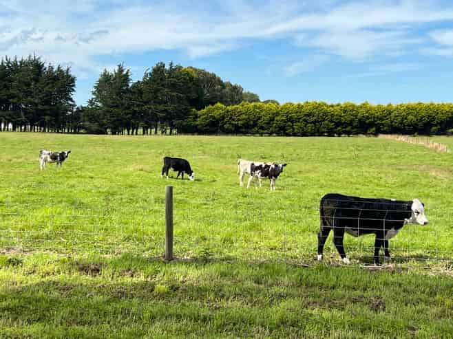 35 McKellar Road, Seaward Bush