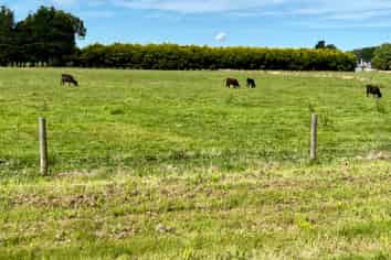 35 McKellar Road, Seaward Bush