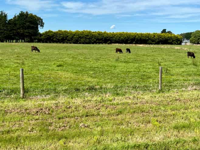 35 McKellar Road, Seaward Bush