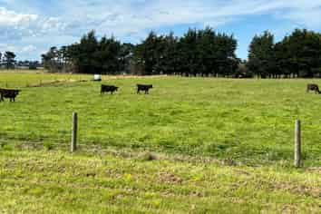 35 McKellar Road, Seaward Bush