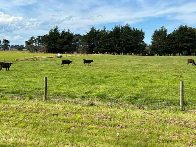 35 McKellar Road, Seaward Bush