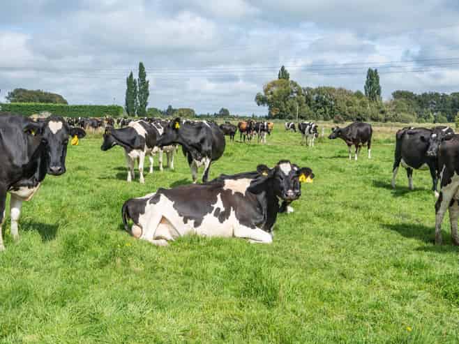 249 Plaskett Road, Fernside