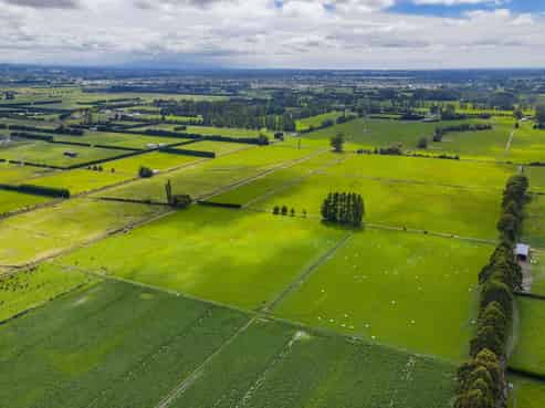 249 Plaskett Road, Fernside