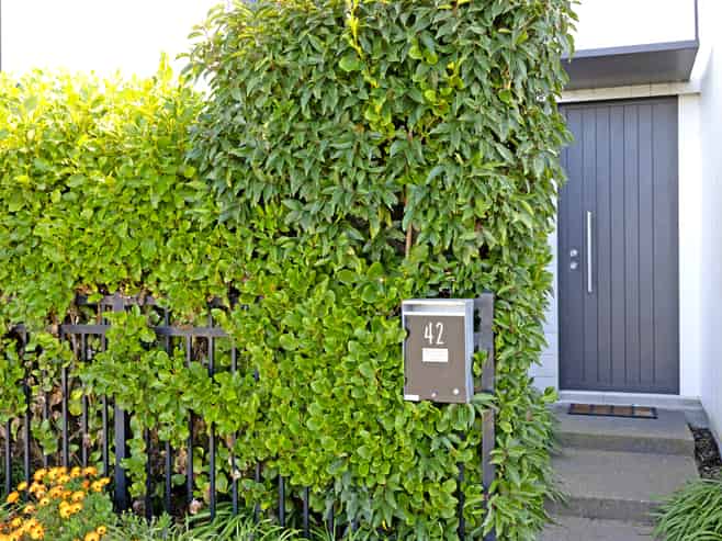 42 Tippet Crescent, Wigram