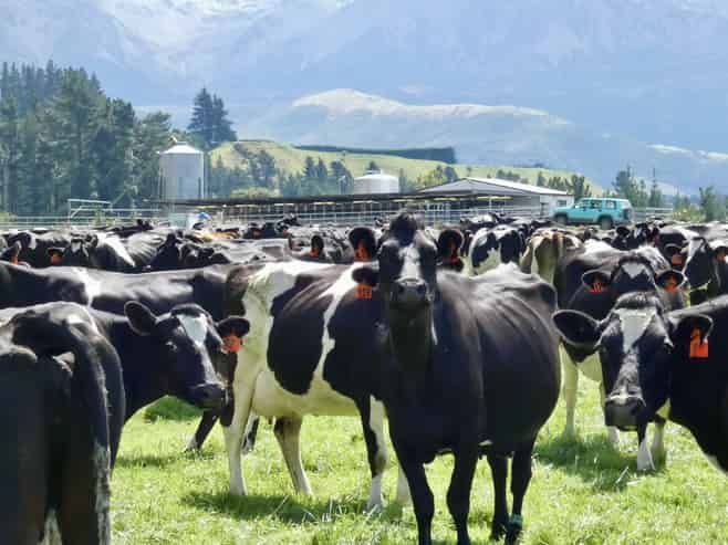 400 Keens Road, Springfield