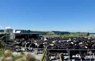 400 Keens Road, Springfield