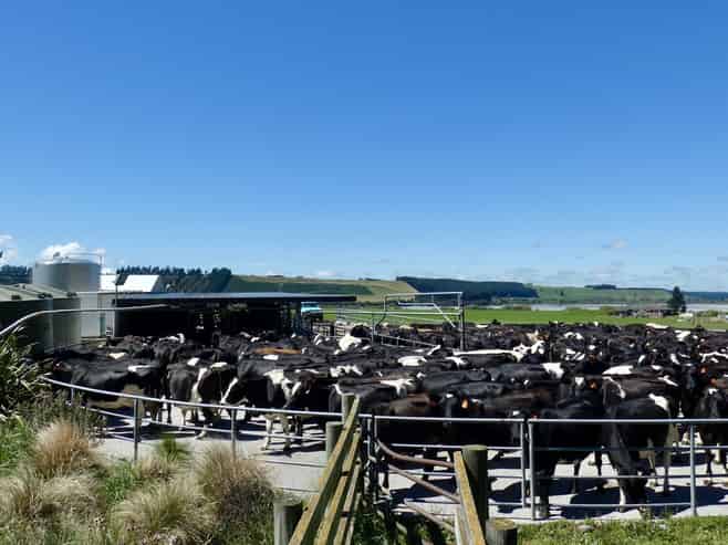 400 Keens Road, Springfield