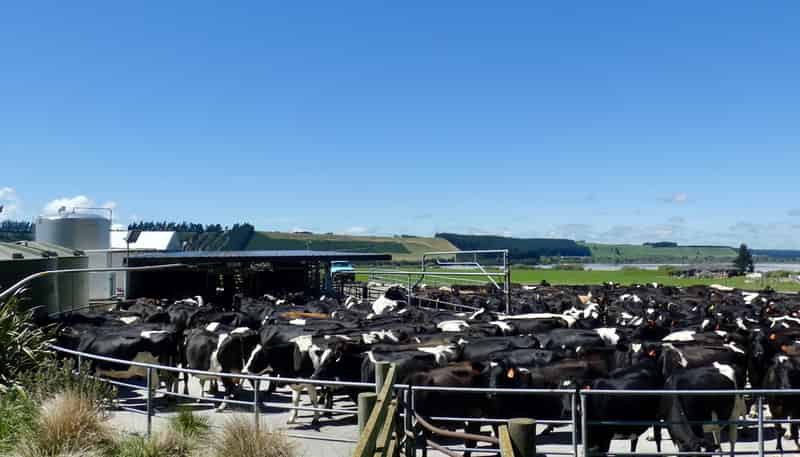 400 Keens Road, Springfield