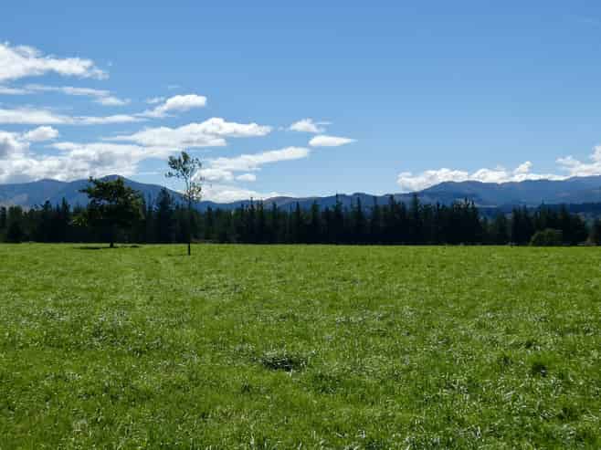 400 Keens Road, Springfield