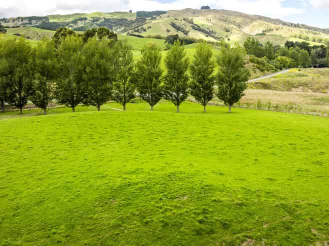 2420, 2430 and 2438 Kahuranaki Road, Elsthorpe