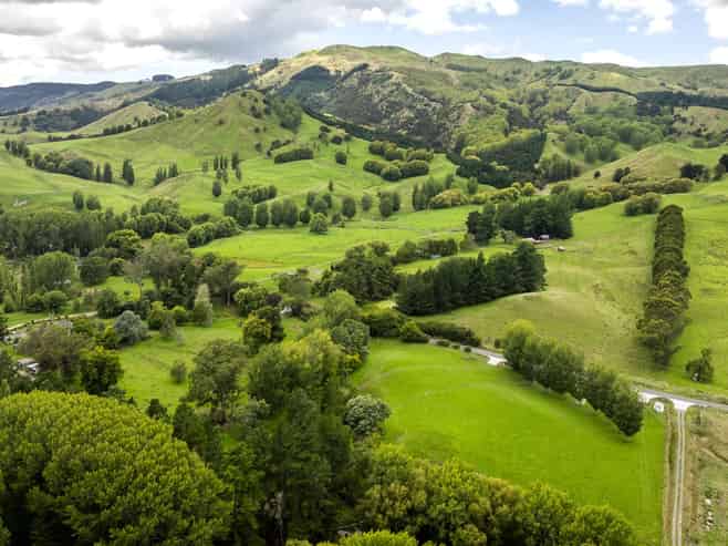 2420, 2430 and 2438 Kahuranaki Road, Elsthorpe