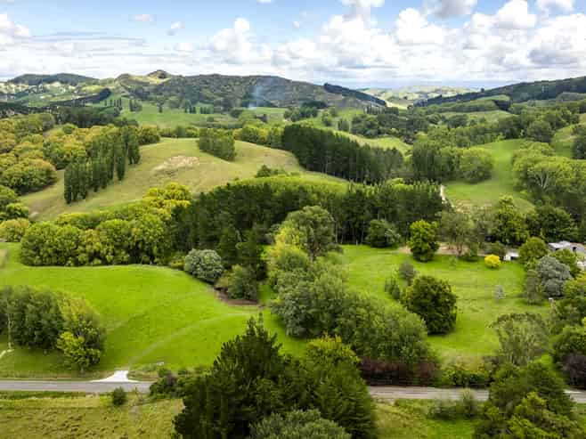 2420, 2430 and 2438 Kahuranaki Road, Elsthorpe