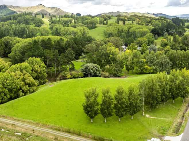 2420, 2430 and 2438 Kahuranaki Road, Elsthorpe