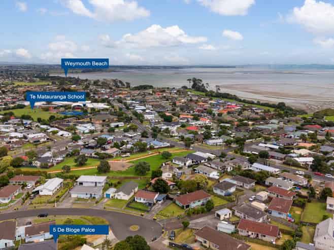 5 De Bloge Place, Clendon Park