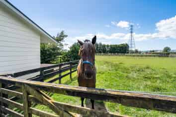 58 St Kilda Road, Cambridge