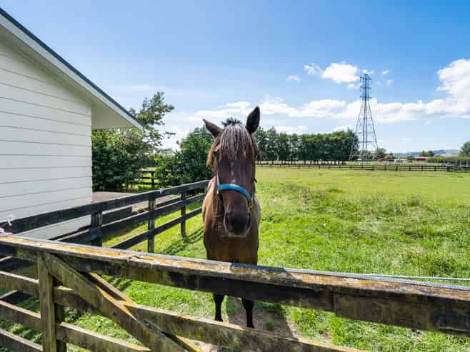 58 St Kilda Road, Cambridge