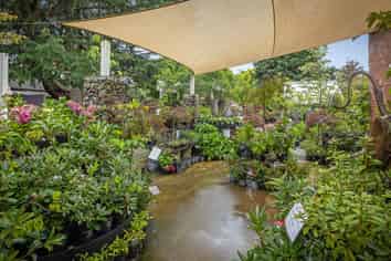 Historic Freehold with Café & Garden Centre