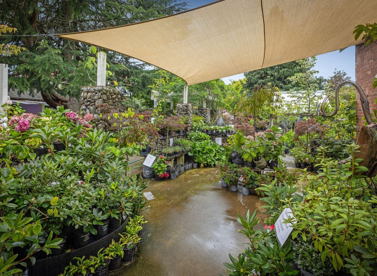 Historic Freehold with Café & Garden Centre - Vista 5