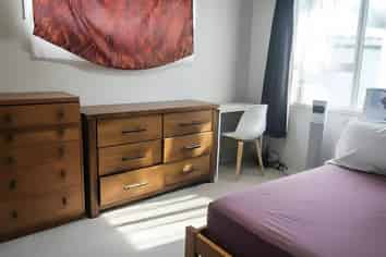 29 Taramea Street, Avondale