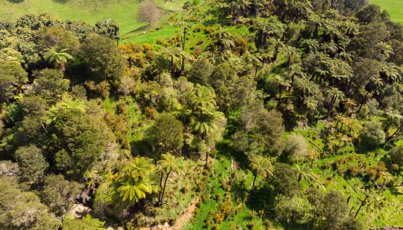 795 Maungarangi Road, Paengaroa