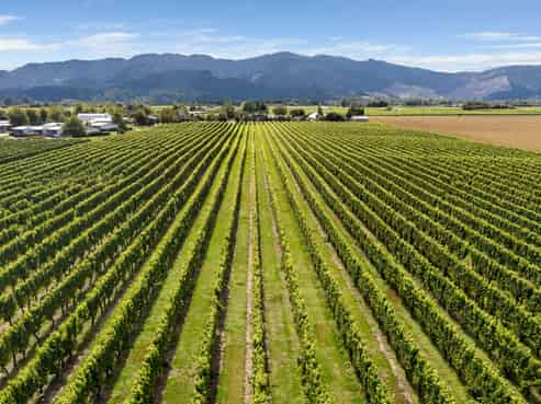 196 Rapaura Road, Rapaura