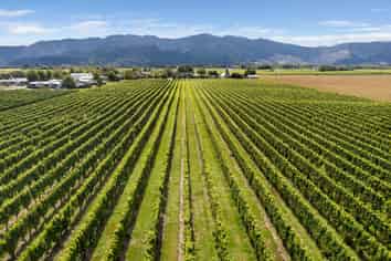 196 Rapaura Road, Rapaura