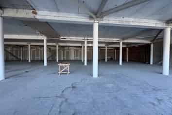Premium Petone space with huge potential