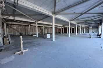 Premium Petone space with huge potential