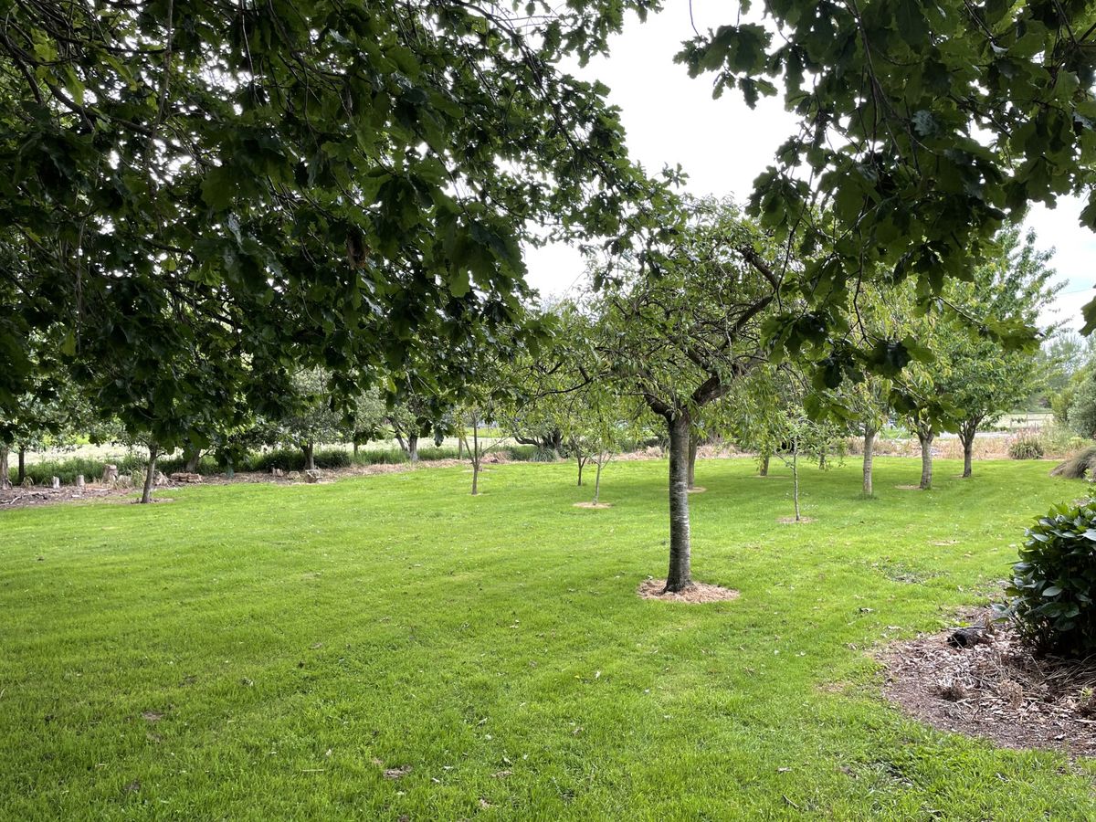Balmoral Homestead - price reduction - Więcej